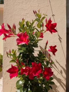 Camping La Loire Fleurie - 2