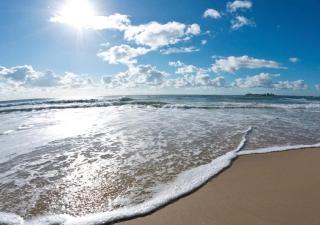 Ocean Courtyard - Beachside Unit - Alexandra Headland - 8