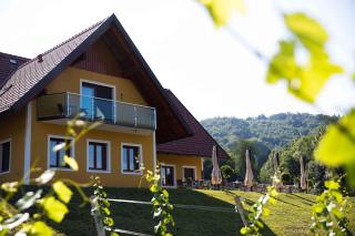 Weingut-Gästezimmer UHL - Ratsch an der Weinstraße - 1