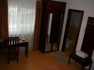 Casa iRMA - Rooms for rent - Bacău - 4