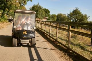 Port Lympne Mansion Hotel - Hythe - 8