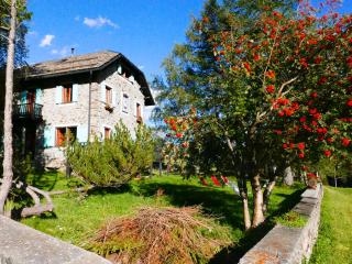 Il Cortese - Chiareggio - 2