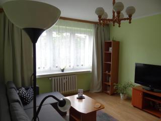 Apartament Regina - Poznań - 8