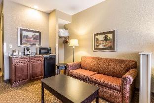 Quality Inn & Suites Hendersonville - Flat Rock - 8
