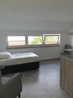 Business Apartment Turgi - 1