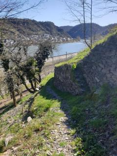 Rheingold - Hirzenach - 2