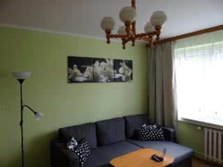 Apartament Regina - Poznań - 9