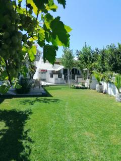 VILLA DINA (Kalidonia, Chania, Crete 730 06) - Chania - 0