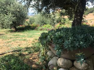 Casale Vincenzo Country House - Collecorvino - 1