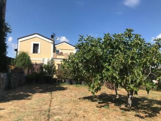 Casale Vincenzo Country House - Collecorvino - 7