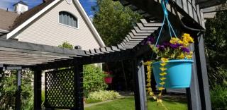 Silver Star Bed and Breakfast - Vernon - 7