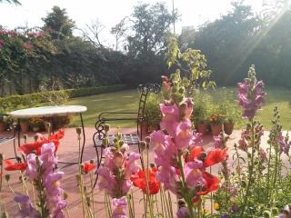 Jasvilas - Jaipur - 2