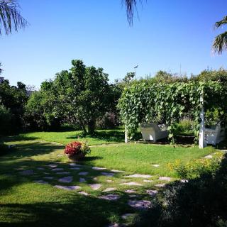 Masseria Boezio Ostuni - Torre Santa Sabina - 1