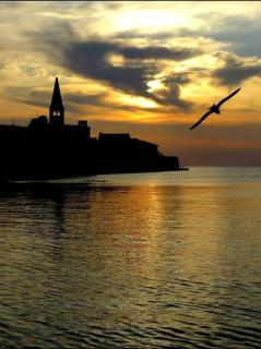 Apartman Pinezic - Poreč - 7