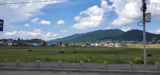 Bakuriani Plaza A317 - 5