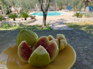 B&B Tenuta la Cornula - 3