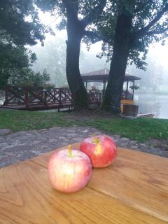 Gazdų Vandens Malūnas - 6