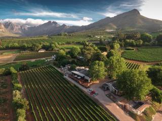 Alluvia Boutique Winery & Luxury Accommodation - Stellenbosch - 1