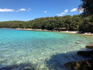 RENATA Mare Apartments - Rovigno (Rovinj) - 2