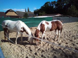 Ubytovanie na dedine - 0