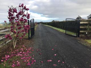 Self Contained Cottage Pukekohe - Auckland - 8