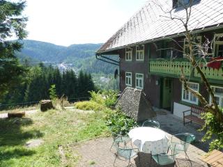 Feißesberghof - Triberg - 6
