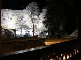 Gasthof Goldene Traube - Golling an der Salzach - 2
