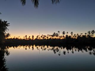 AOTERA GUEST HOUSE - 1