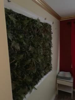 LAX guest house - Inglewood - 4