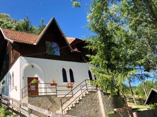 Conacul Secaria - Secăria - 5
