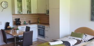 Studio Almwiese - Kaprun - 8