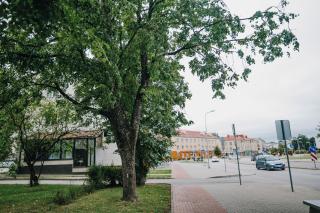 City center Appartment - Valmiera - 3