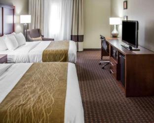 Comfort Inn & Suites Riverview near Davenport and I-80 - Le Claire - 8