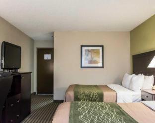 Comfort Inn & Suites St Pete - Clearwater International Airport - 8
