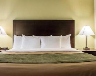 Comfort Inn & Suites St Pete - Clearwater International Airport - 5