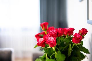 Pod arkadami - Varsovia - 5