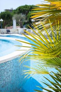 Hotel Conchiglia - Cervia - 8