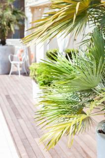 Hotel Conchiglia - Cervia - 7