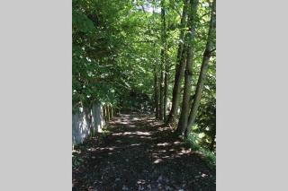 Chalet “In dai Guriuz” - - 2