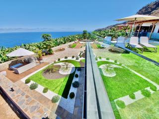 Papaya Paradise - La Orotava - 8