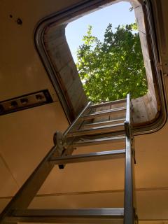 Magic Roof Top Bus with big bath in the tree forest! - 1