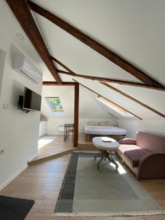 West Studio Apartment Sarajevo - Sarajevo - 5