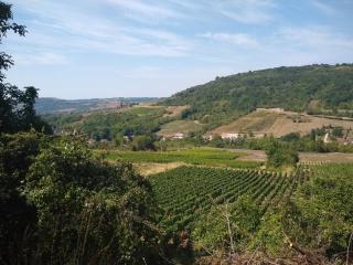 LE GRAND CARNOT - Nolay - 9