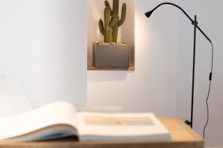 NUEVO luminoso y con terrazas junto a la playa - 8