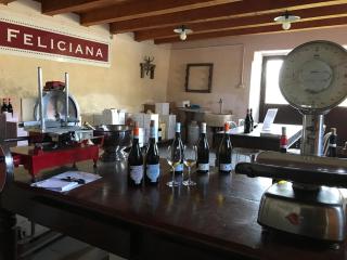 Agriturismo Feliciana - Pozzolengo - 6