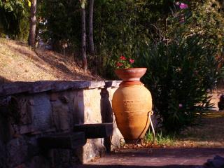 Tenuta Macetona - Celle sul Rigo - 6