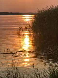 Ferienwohnung Goa auf Usedom - 1