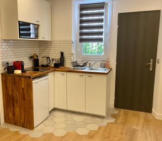 Magnifique appartement proche du Bois de Vincennes - Fontenay-sous-Bois - 3