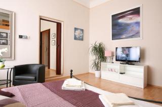 Apartment Karolina - Prag - 2