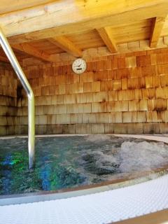 Hotel Alpenrose - Zauchensee - 7